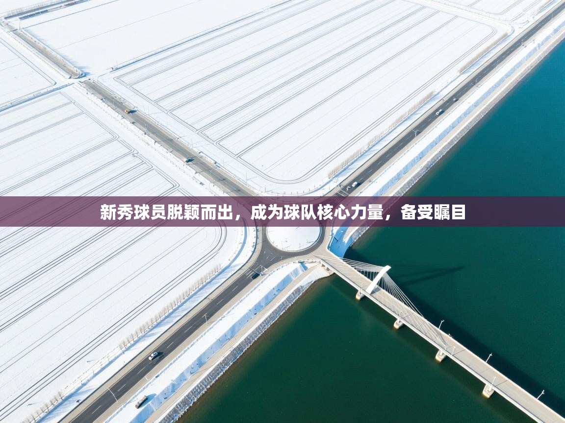 新秀球员脱颖而出，成为球队核心力量，备受瞩目