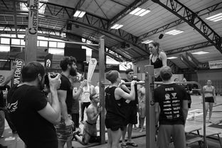 九游娱乐下载-“2025世界游泳锦标赛：水上芭蕾精彩纷呈，艺术之美与竞技并行”  第1张